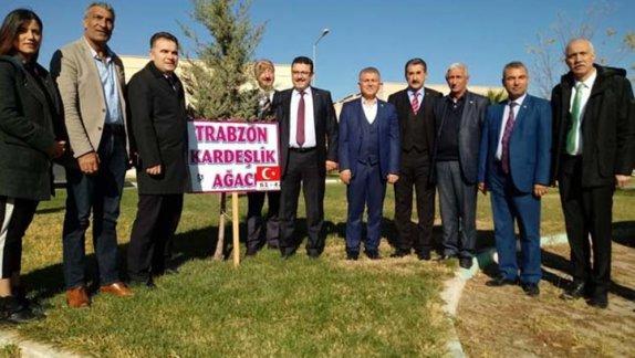 Trabzon-Mardin Kardeşliği Kızıltepe´de Zirve Yaptı